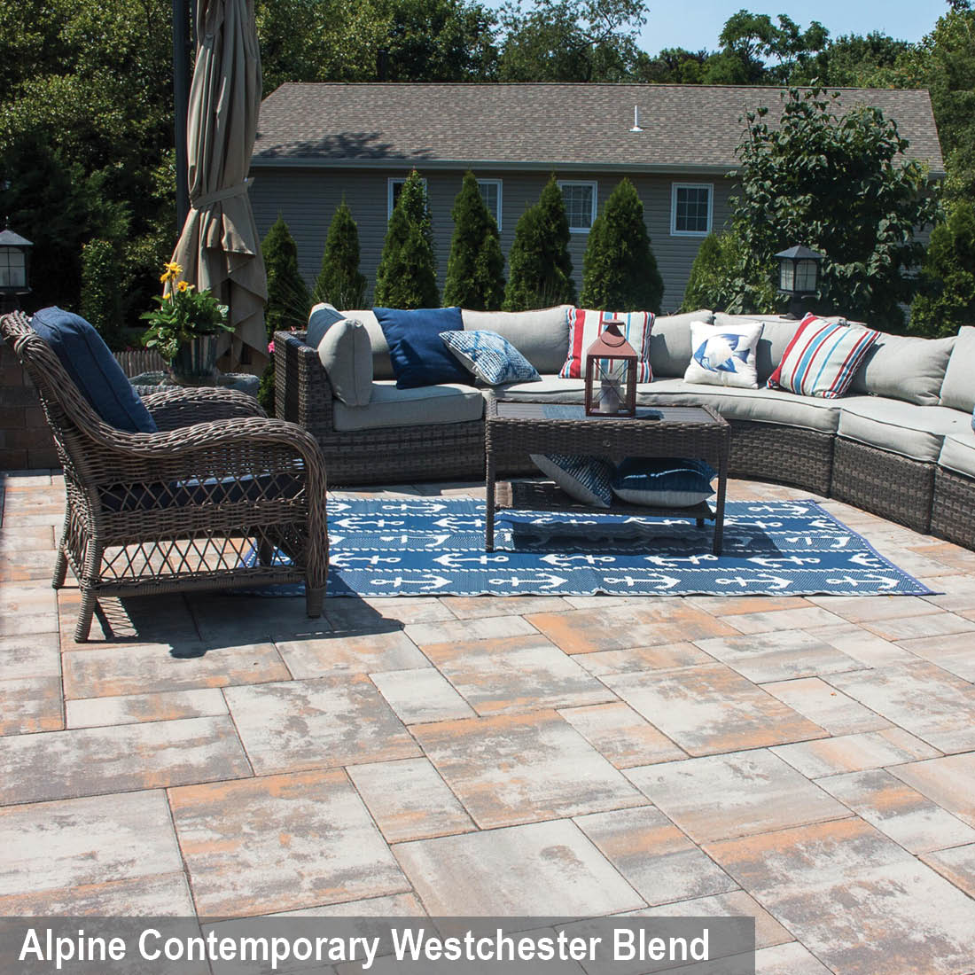 4- Alpine Contemporary Westchester Blend
