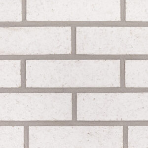 Aspen White Wirecut Thin Brick